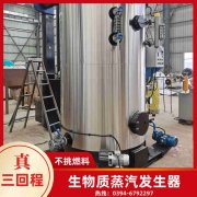 6吨的燃气锅炉