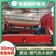 锅炉 燃气锅炉