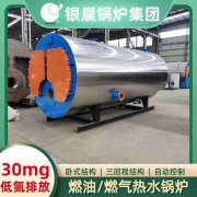 燃煤导热油炉厂