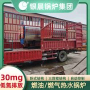 生物质颗粒锅炉