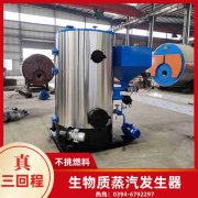 承压蒸汽锅炉