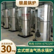 天燃气蒸汽锅炉